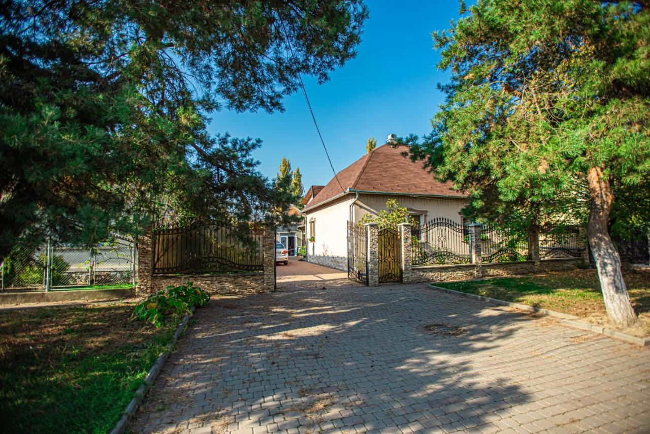 Lizak Apartment Berehove  Bagian luar foto