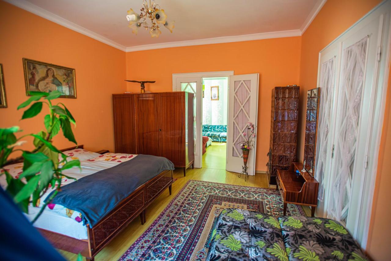 Lizak Apartment Berehove  Bagian luar foto